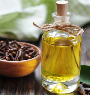 Clove Co2 Extract Oil Supplier from India