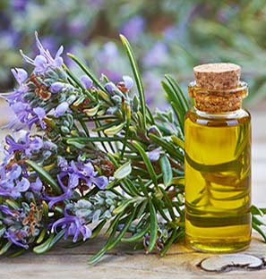 Rosemary Co2 Oil Exporter India